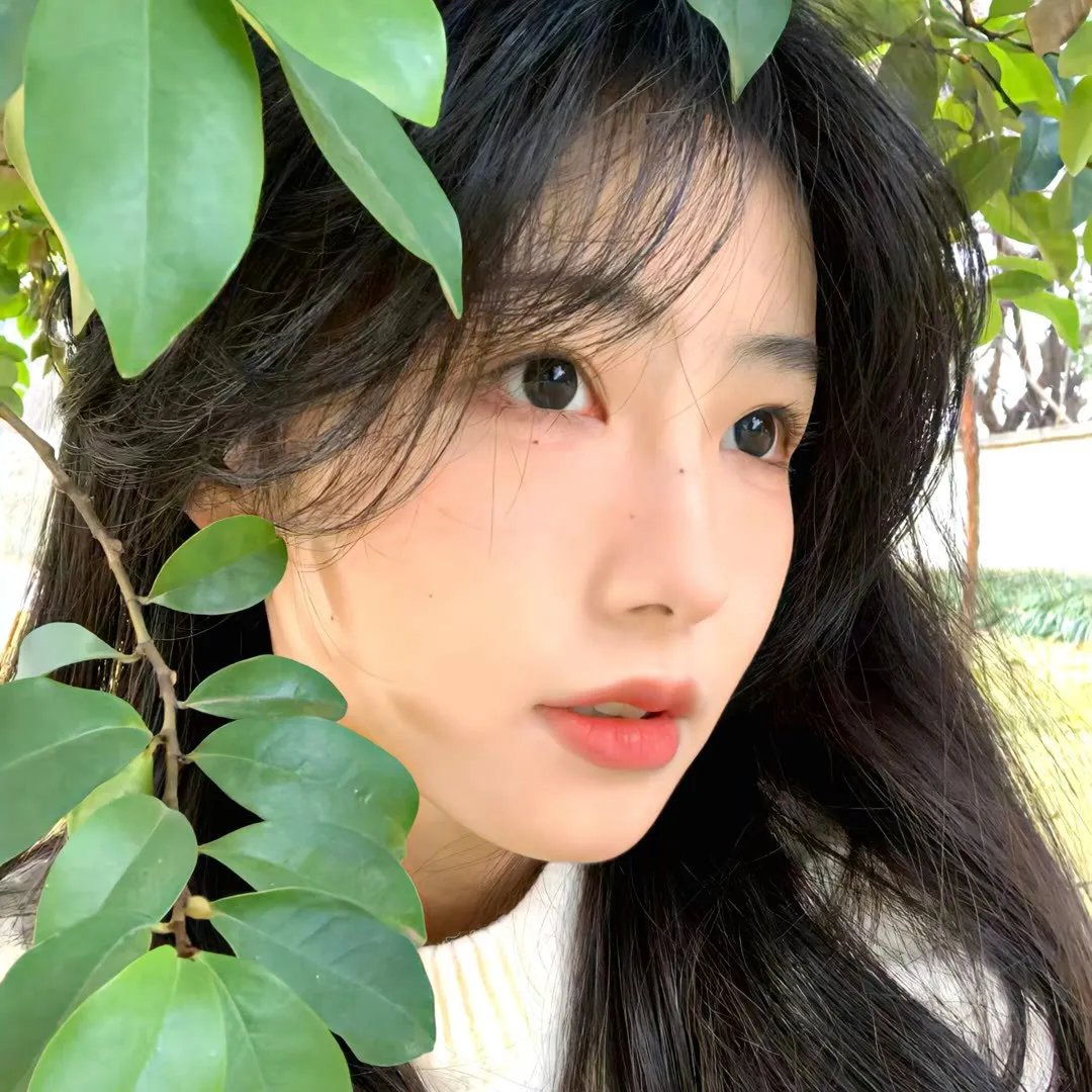 嗜血小红帽