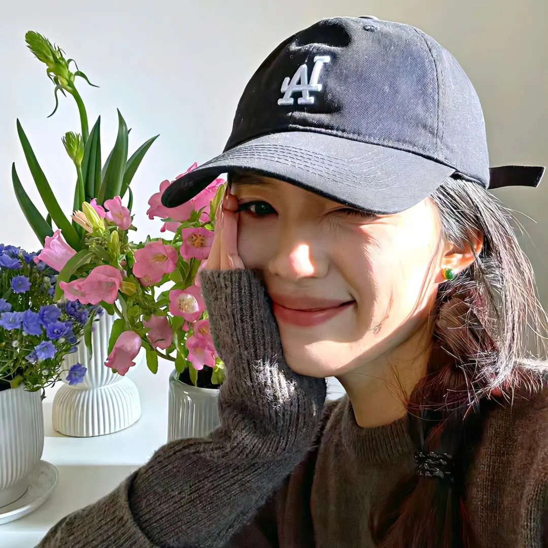 狐狸捕手